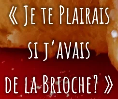 « Je te Plairais si j’avais de la Brioche? »